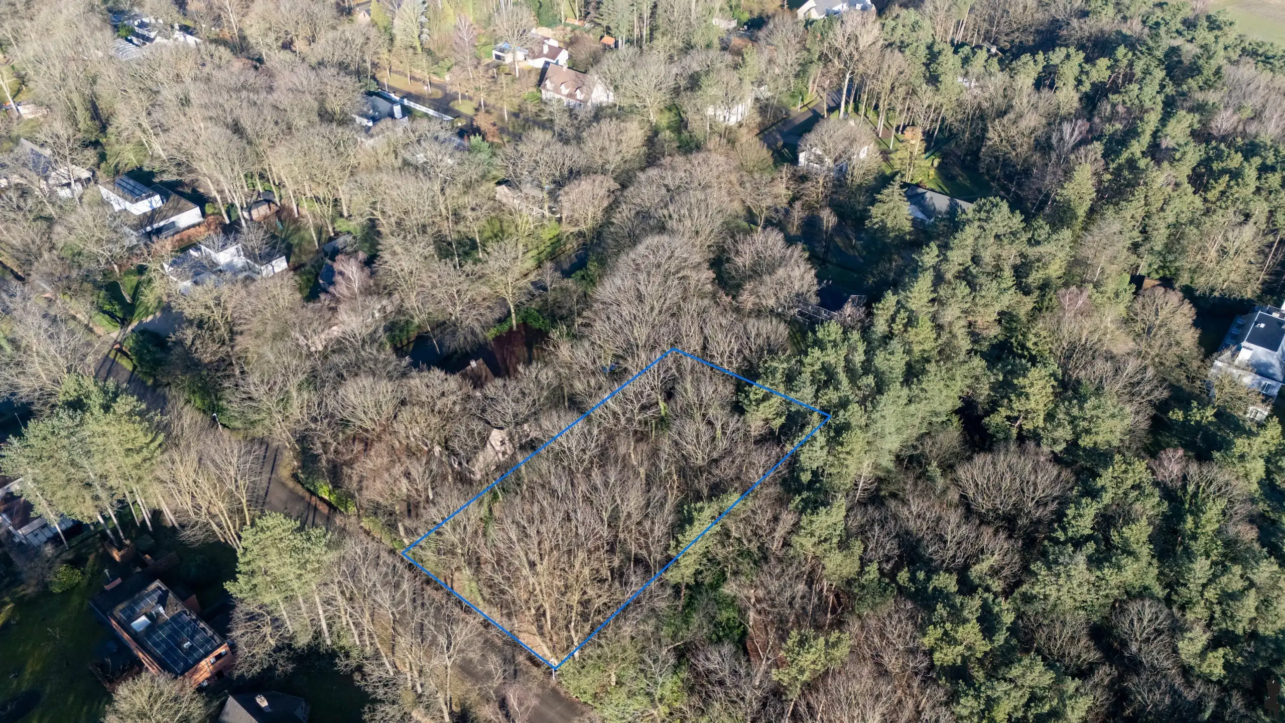 Villaperceel voor open bebouwing omgeven door bos&natuur  foto 2