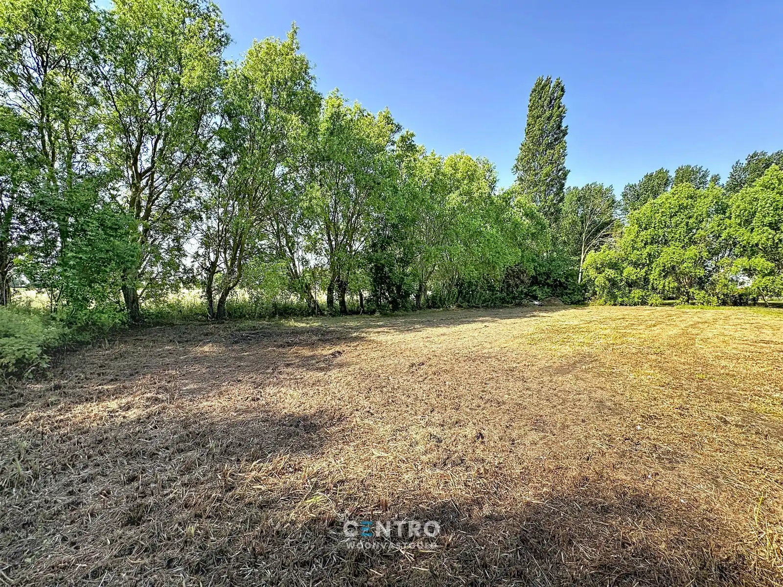 Woning met opslagruimte (313m2) op 3.196m2 grond te Lissewege! foto 31