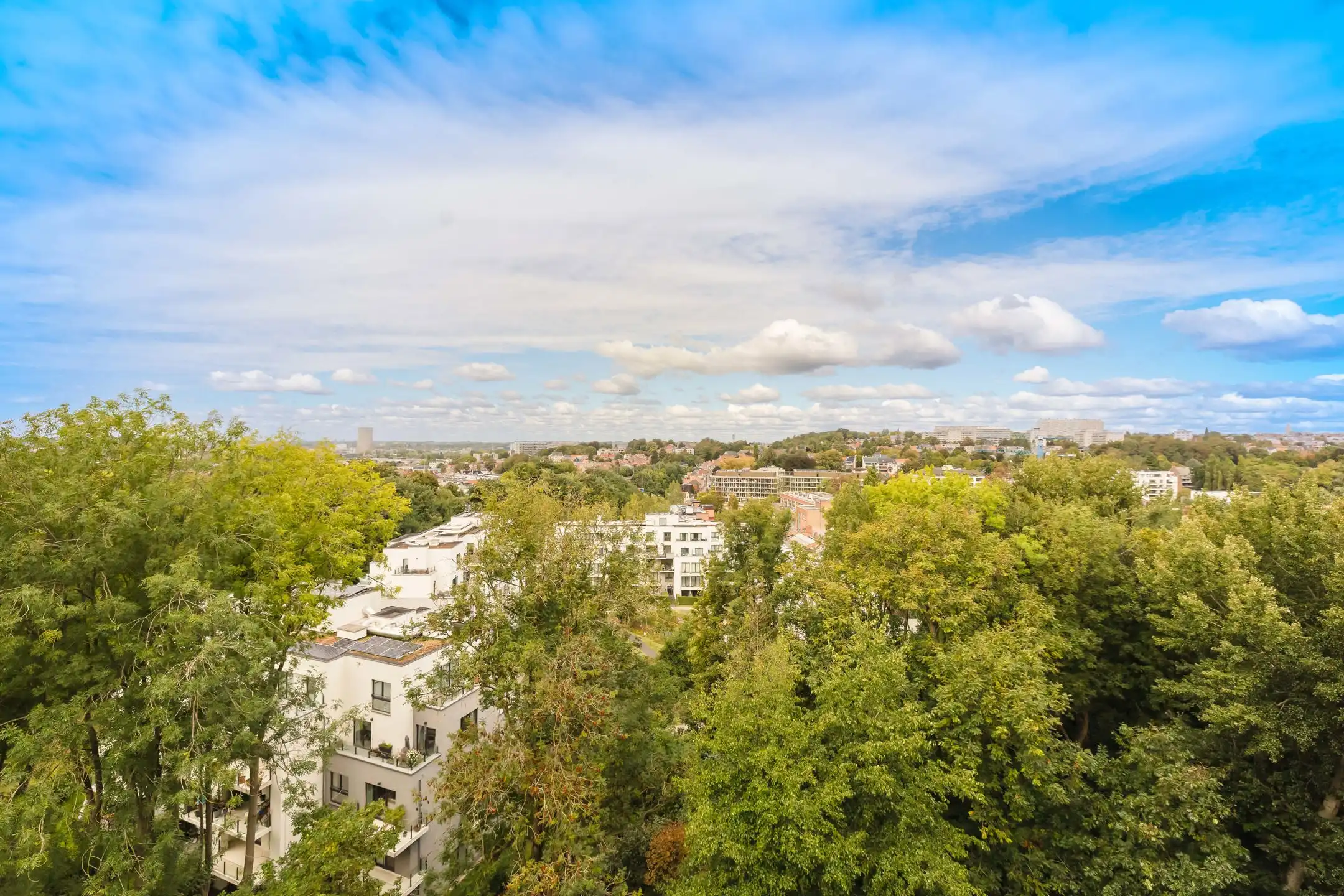 Ukkel: een frisse touch, een echte hartendief. foto 4