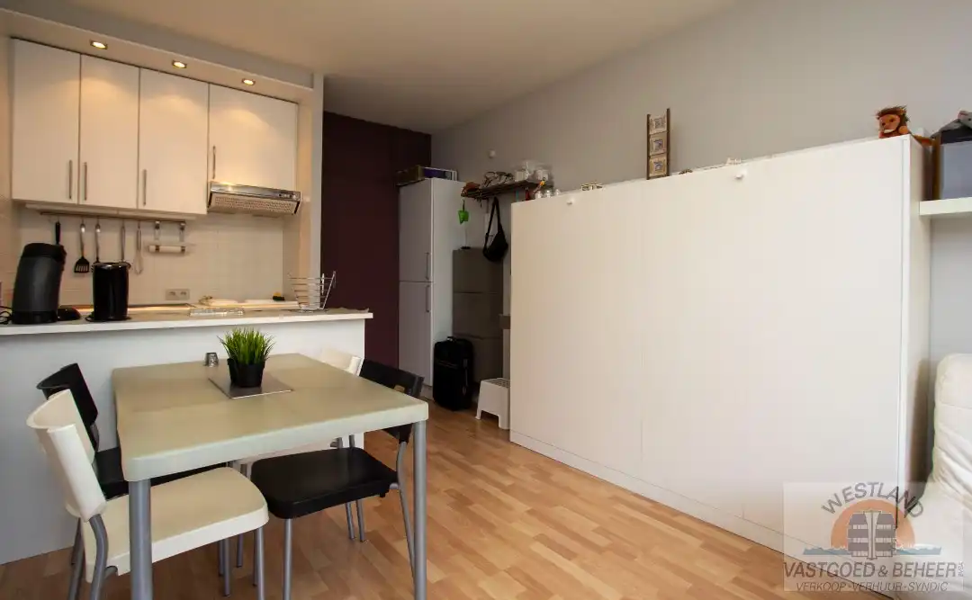 Instapklare, gerenoveerde studio in residentie Santhooft foto 4