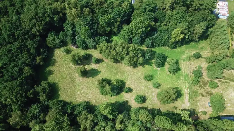 TE KOOP – Uniek stuk bouwgrond in de bossen van Lembeke – >15.000 m² foto 2