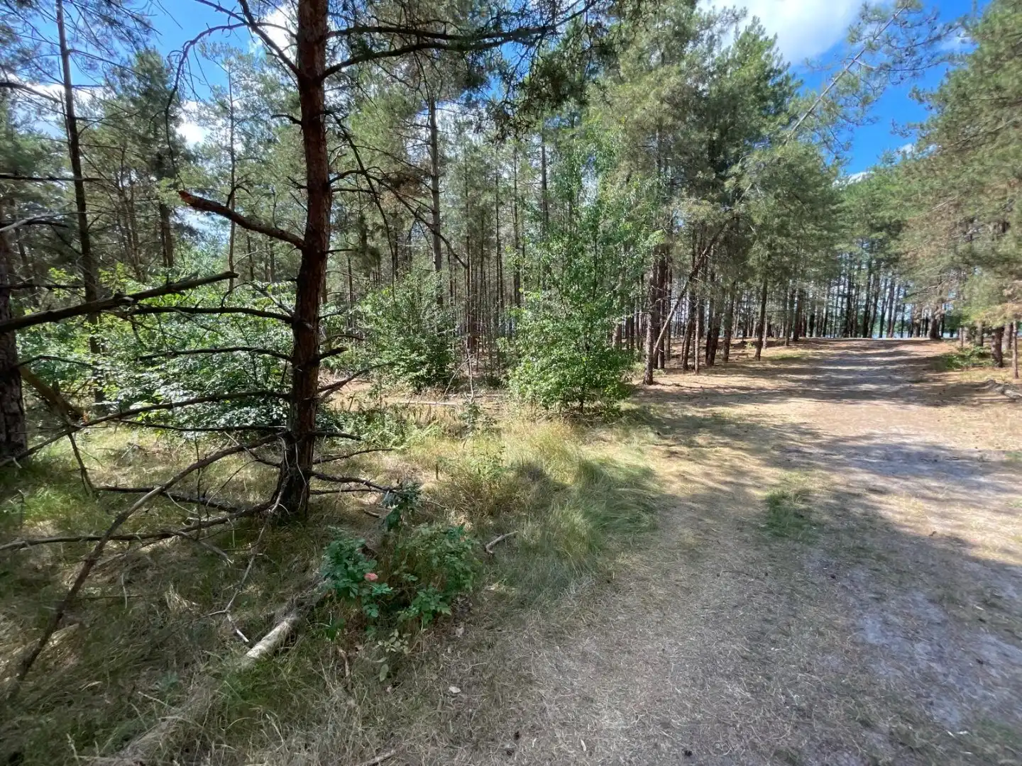Dubbele woonst op 3000m²  met uitzicht op natuur en water foto 15