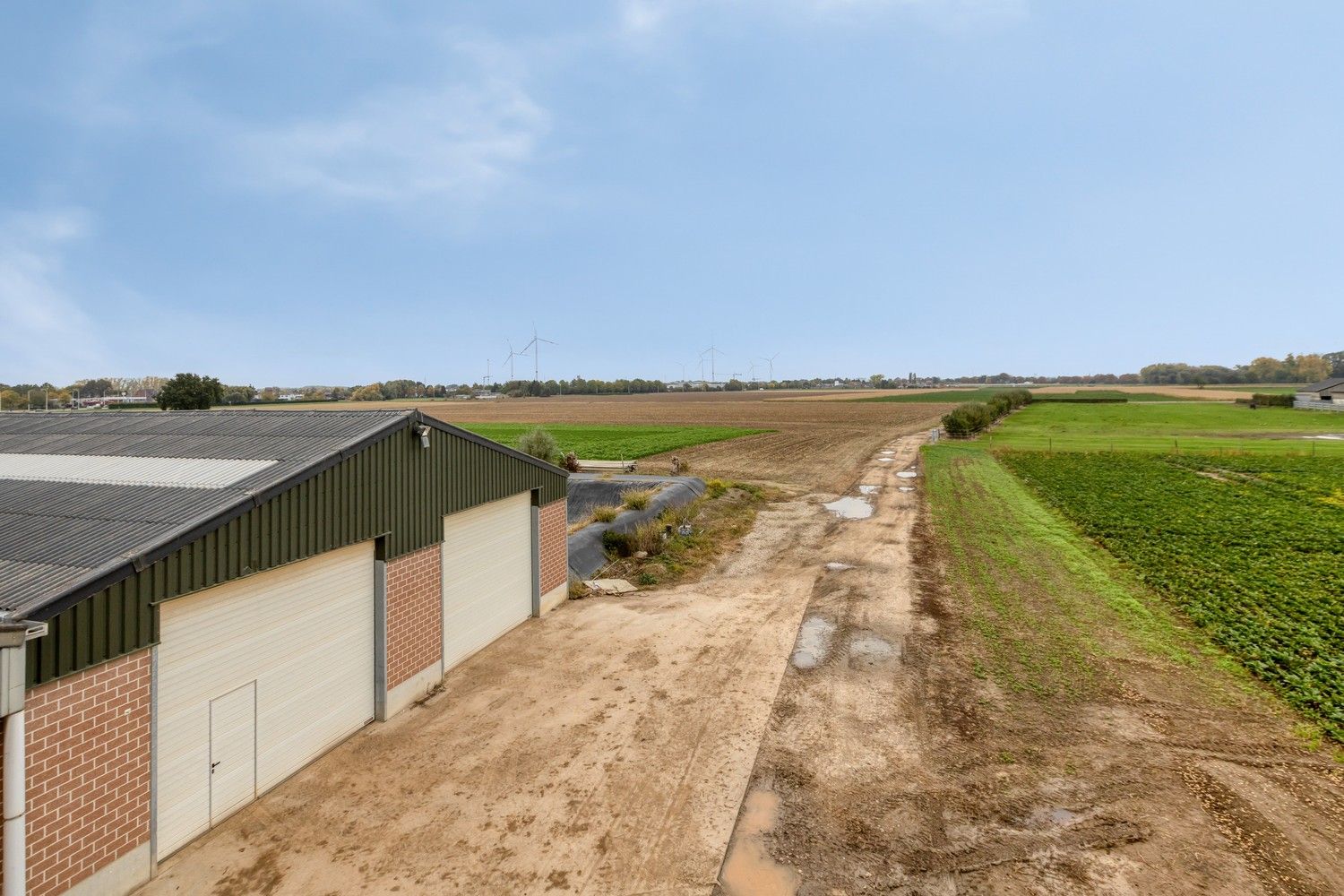 Prachtige boerderij op 1,4 hectare grond in Rekem/Lanaken foto 8