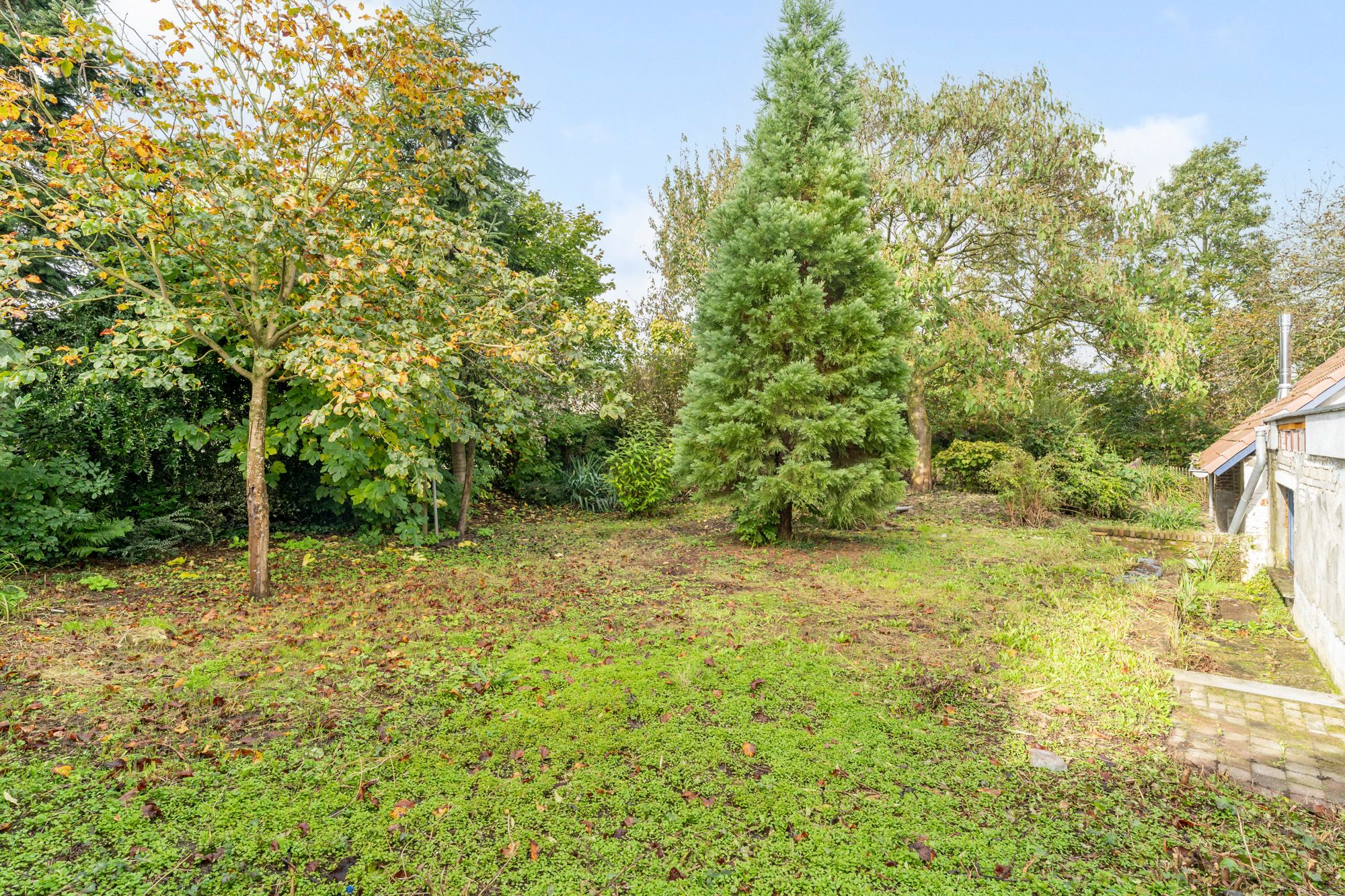 Deels Gerenoveerde Dorpshoeve met Veel Mogelijkheden foto 23