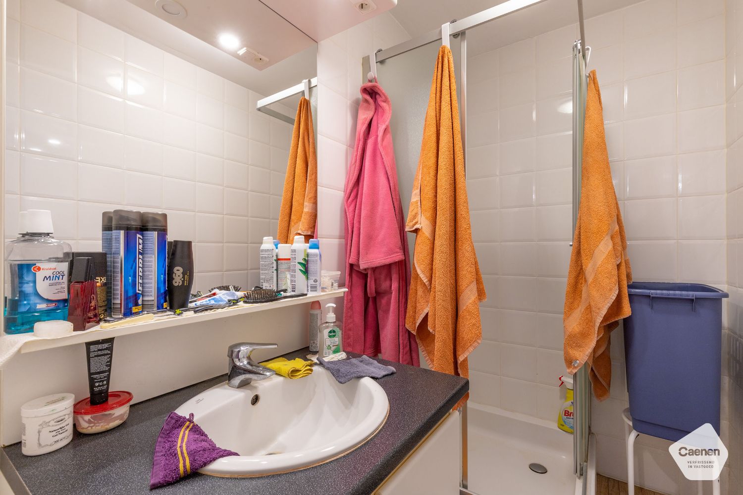 Gezellig appartement met 1 slaapkamer + slaaphoek te Nieuwpoort foto 6