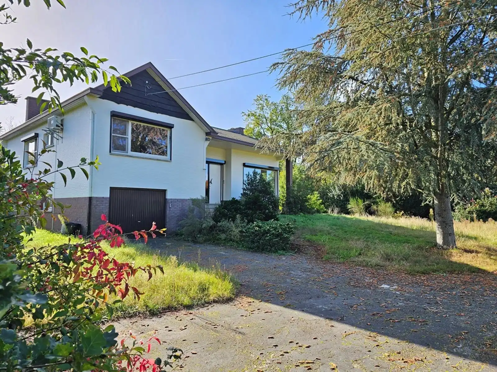 Bolderberg: Te renoveren woning op een ruim perceel. foto {{pictureIndex}}