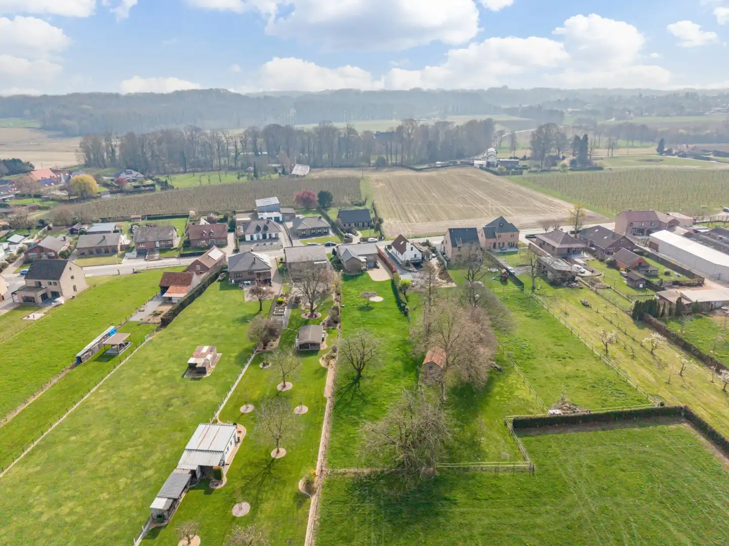 Zeer goed onderhouden gelijkvloerse gezinswoning op een riant perceel van 19a75ca op een rustige locatie te Schalkhoven, een deelgemeente van Hoeselt.  foto 7