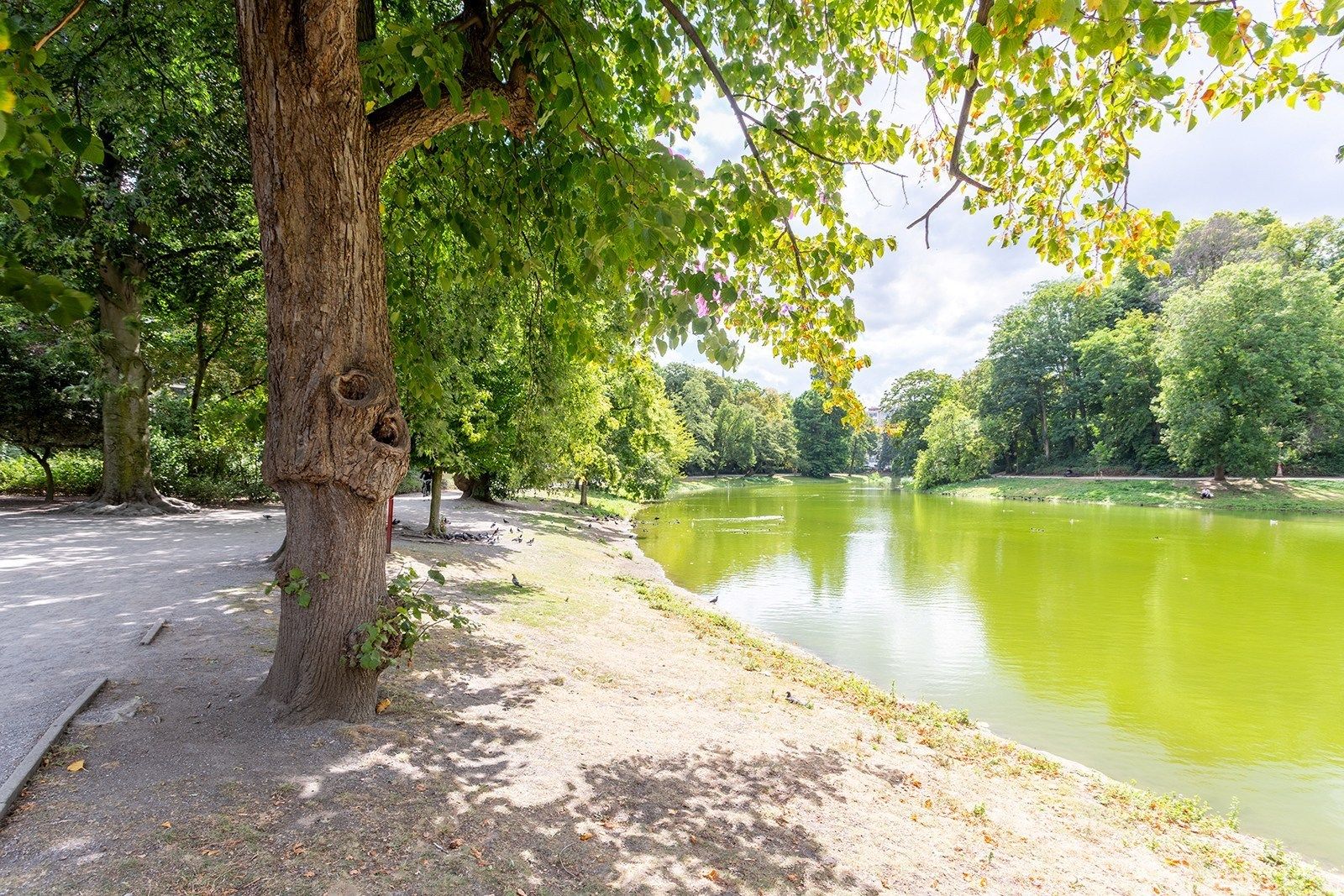 Uiterst ruim vierslaapkamer appartement tussen het Stadspark en de Theaterbuurt!  foto 30