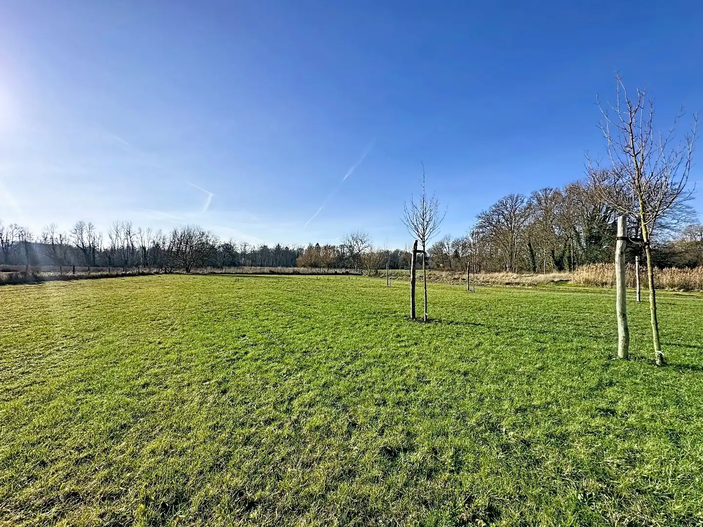 Energiezuinig gelijkvloers appartement met tuin, terras & garage in Korbeek-Lo foto 24