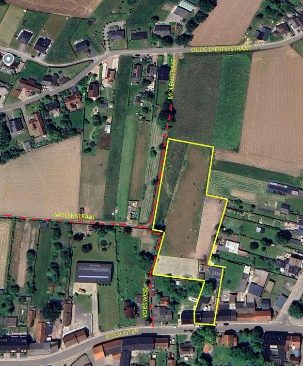 ()=>{if(producerUpdateValueVersion(node),producerAccessed(node),node.value===ERRORED)throw node.error;return node.value} Boeslinter 21 - 3380 Bunsbeek