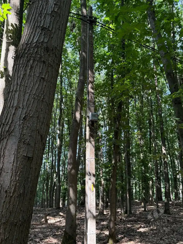 Bosperceel van circa 10 are in een groene omgeving te Houthalen-Helchteren foto 6
