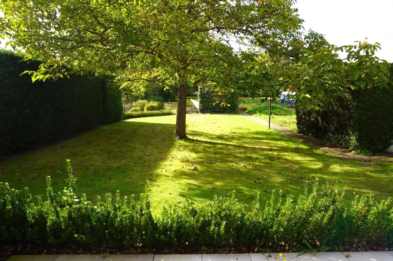 Huis te huur foto 15