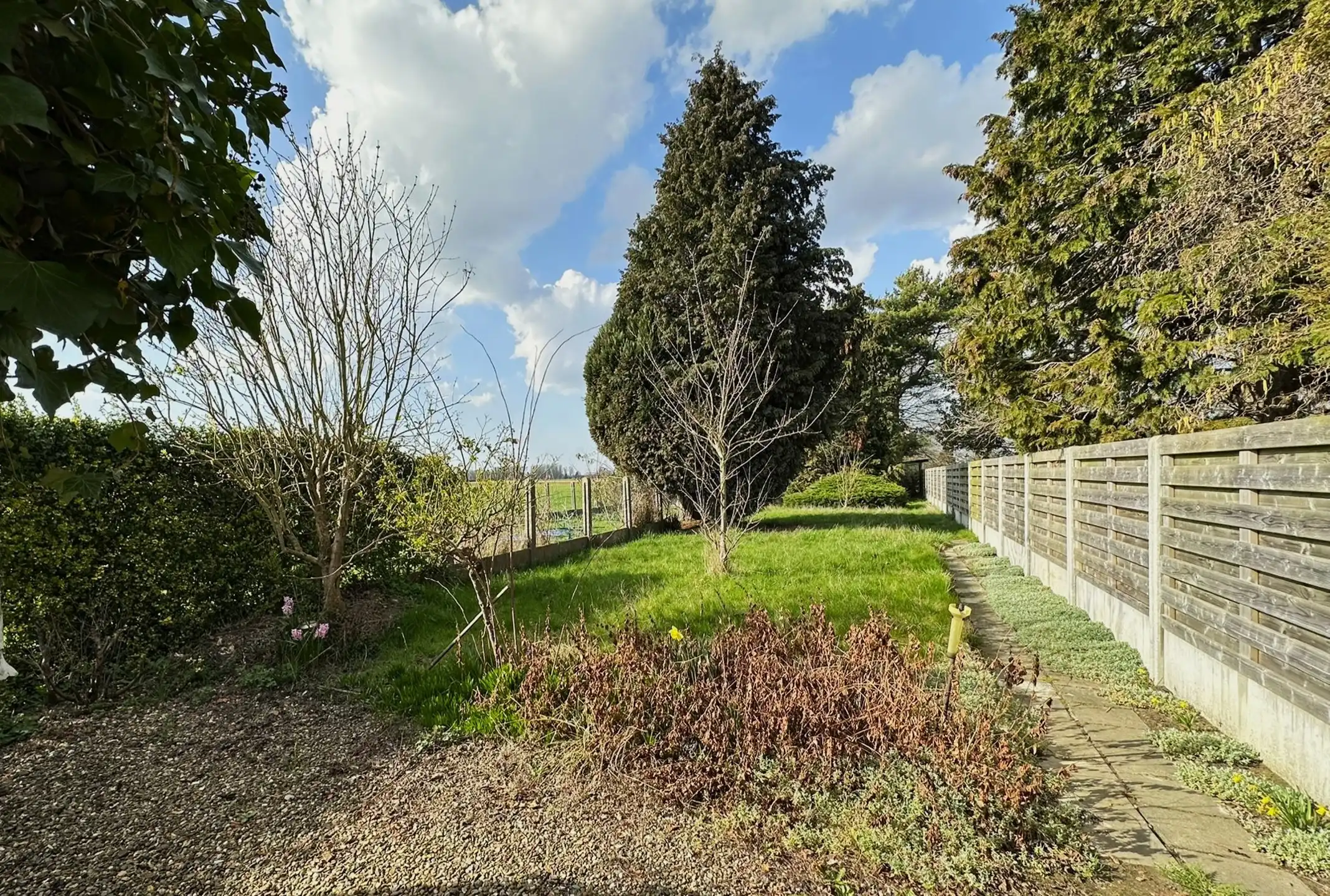 Huis te koop foto 19