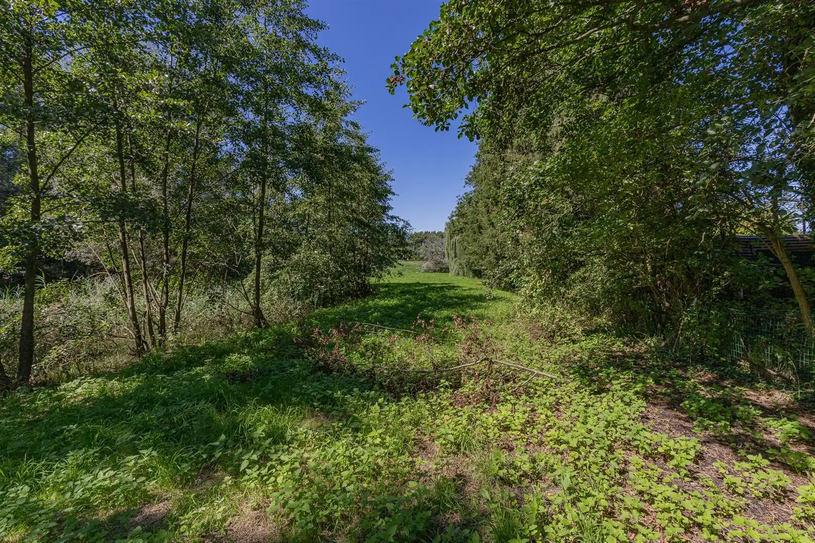Exclusieve bouwgrond te koop Sint-Onolfsdijk, Dendermonde foto 13