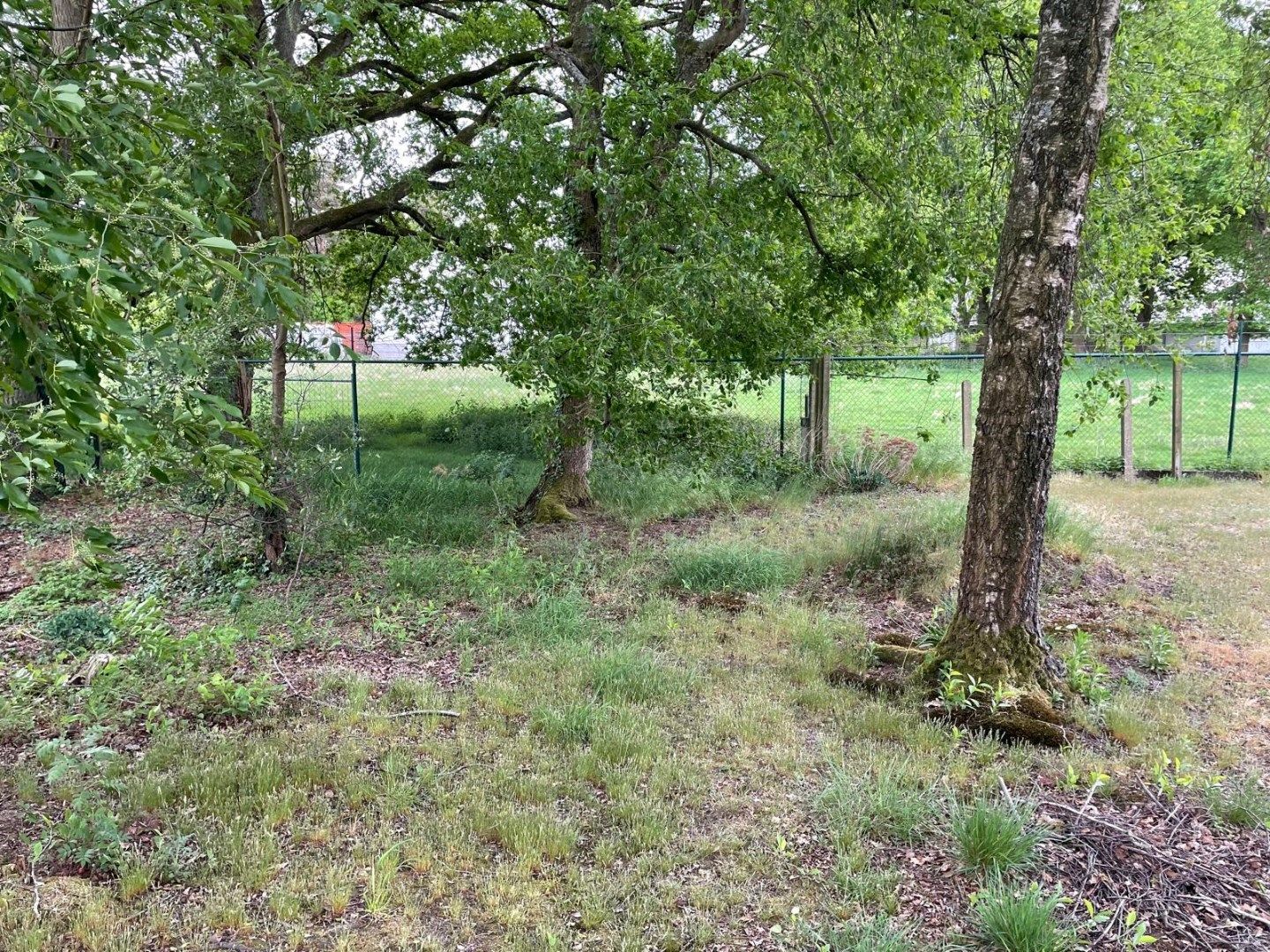 Gelijkvloerse woning in Mol met 1302m² tuin foto 18