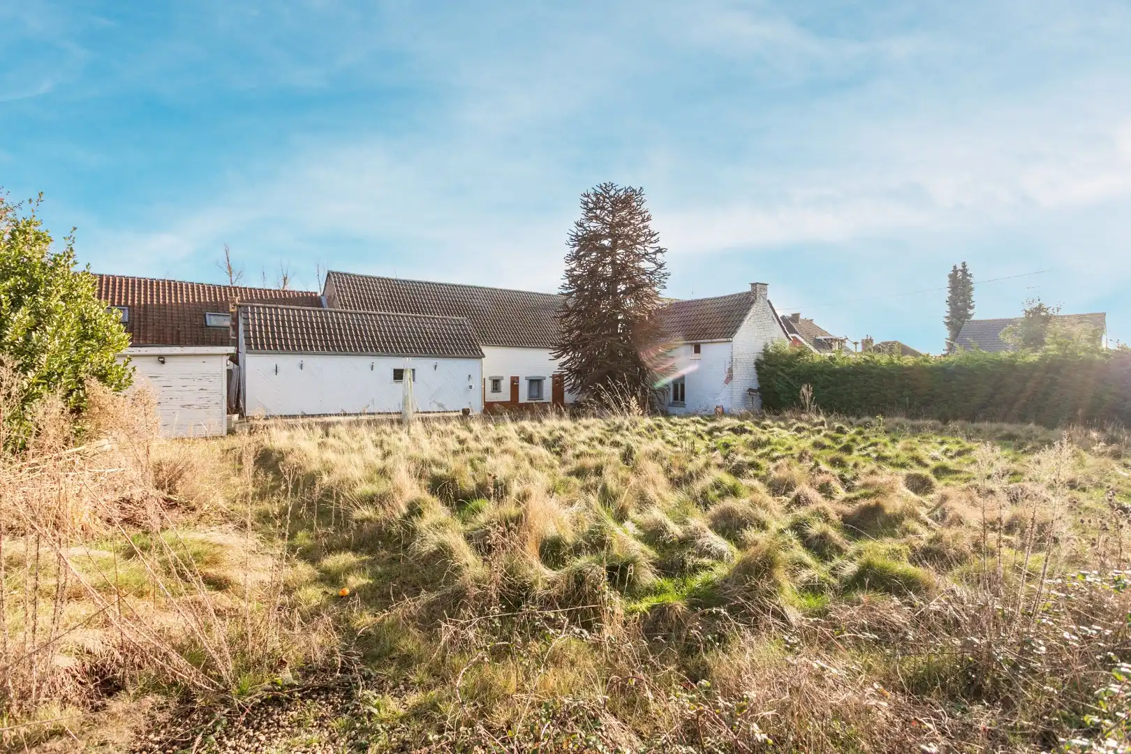 Te renoveren fermette met 3 slpk, bijgebouw en garage en mogelijkheid tot uitbreiding (bouwgrond) foto 12