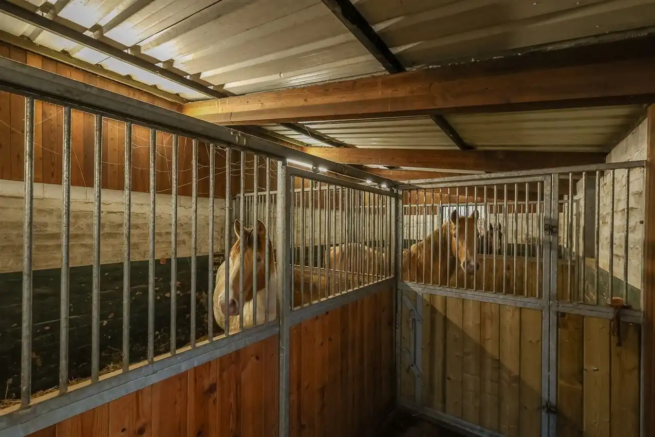 Toffe woning met weiland van meer dan 1Ha foto 33