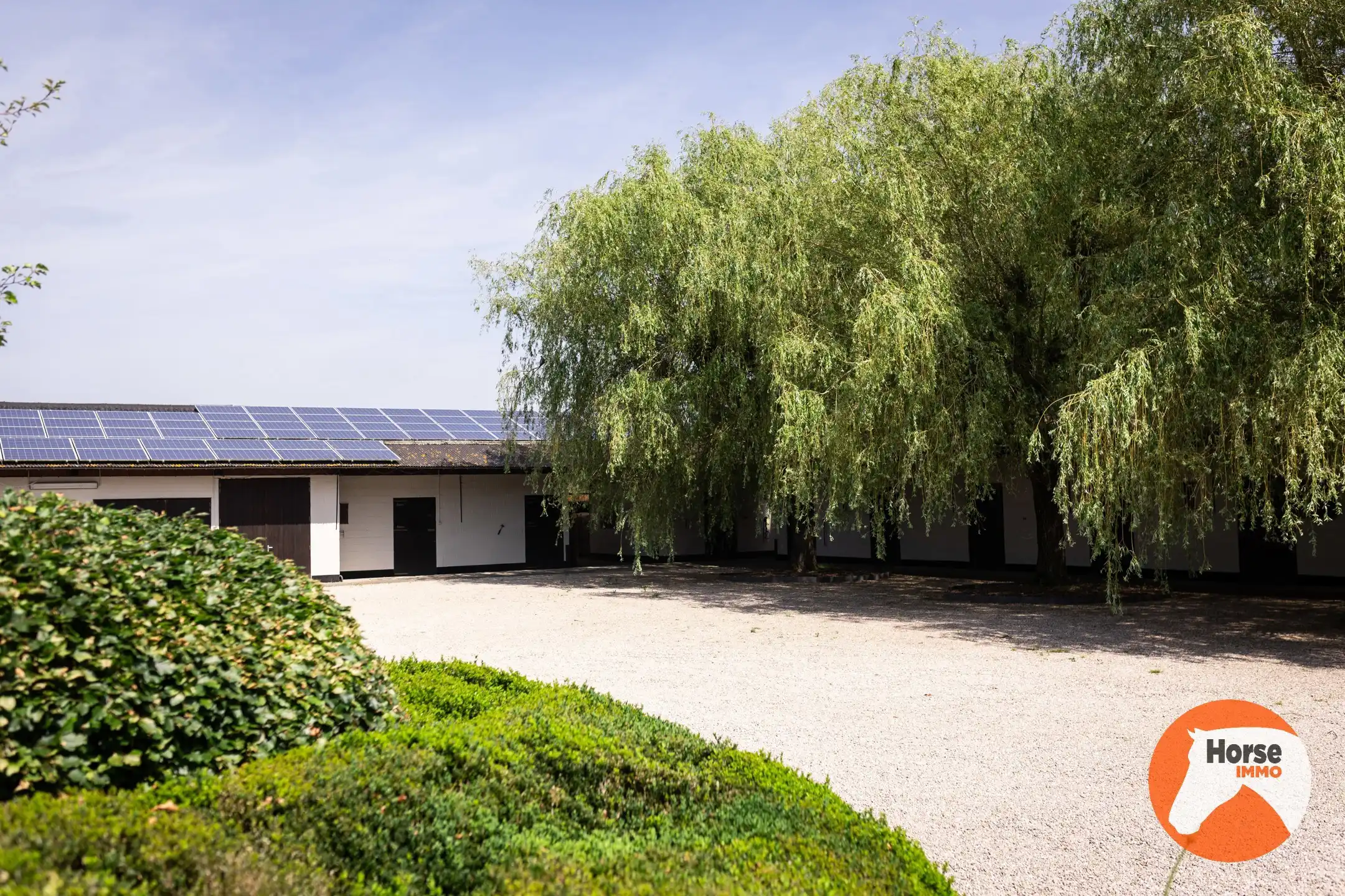 MERELBEKE -  Professioneel paardencomplex op 3,35HA foto 39