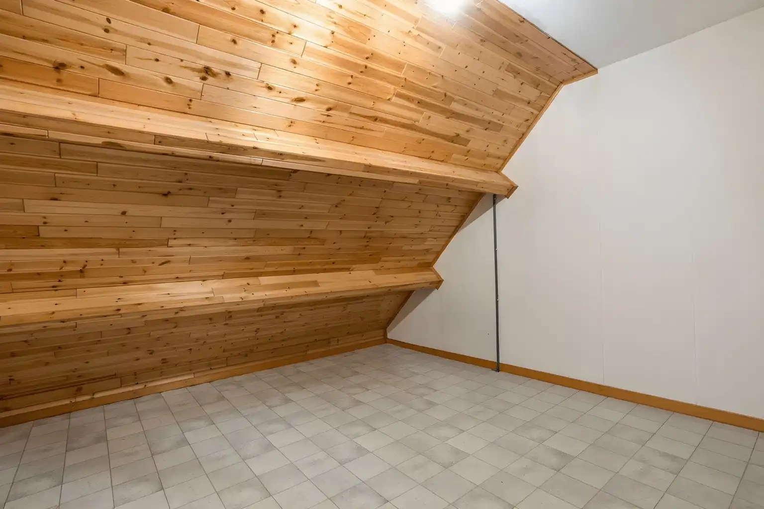 MULTIFUNCIONELE woning met mogelijkheden voor een praktijk foto 19