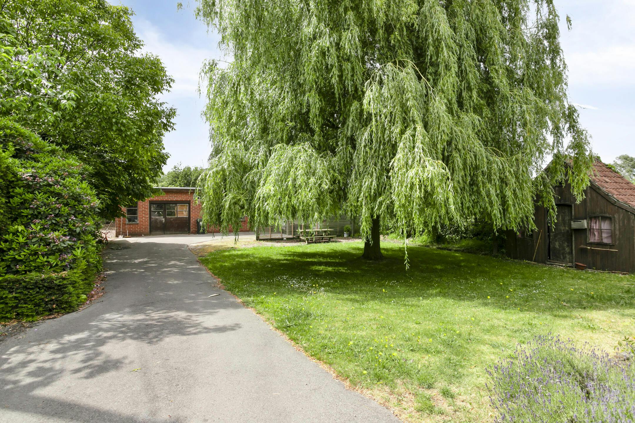 Alleenstaand huis met 5 kamers en atelier te koop in Waregem foto 3