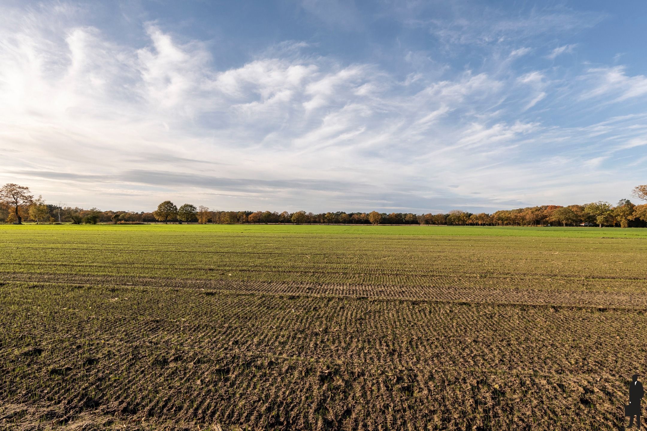 Woning met 3 slpks op 3.100 m² in landelijke omgeving foto 3