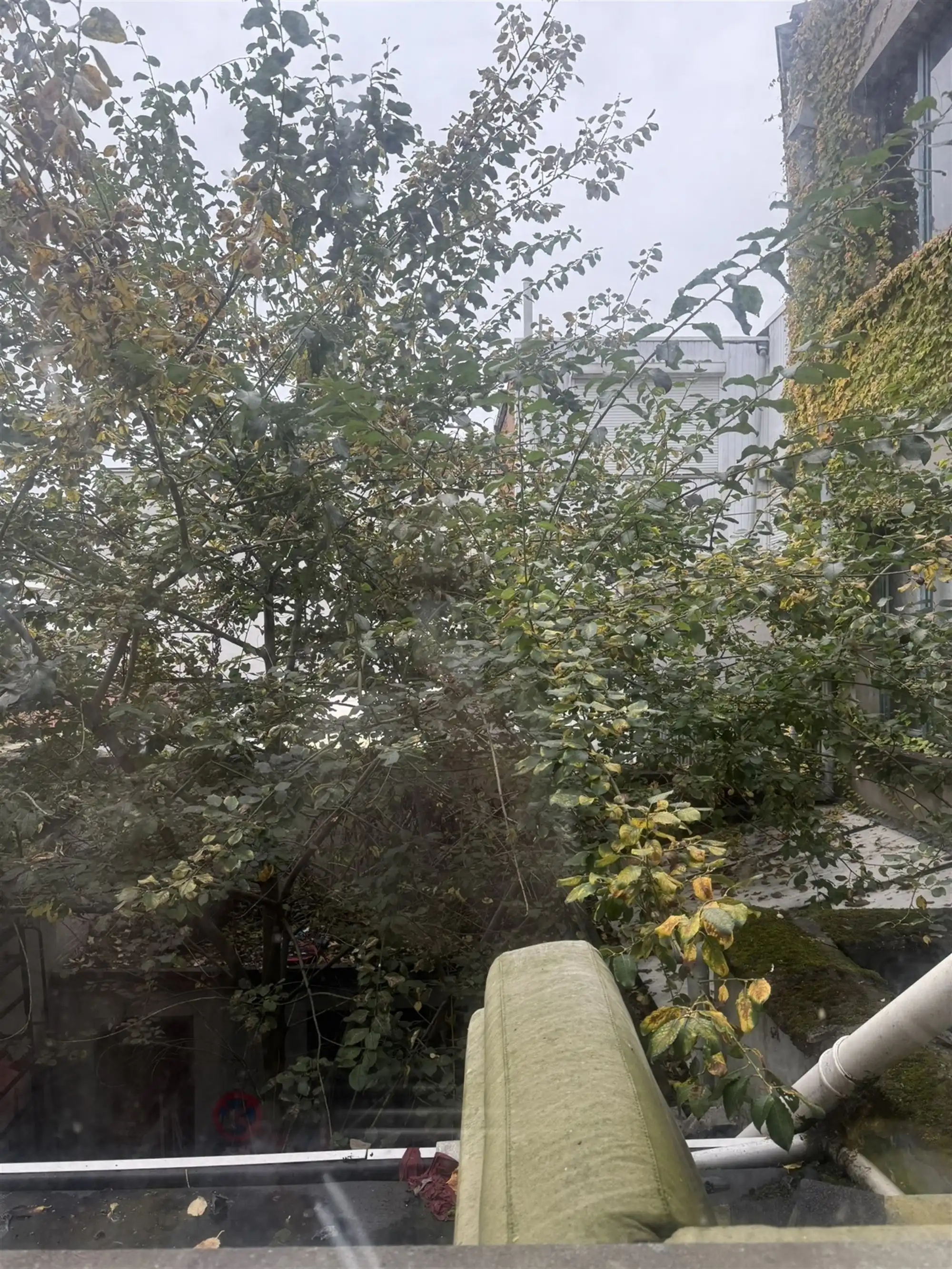 Hoekproject met 2 gekoppelde eigendommen - ideaal voor een renovatieproject foto 7