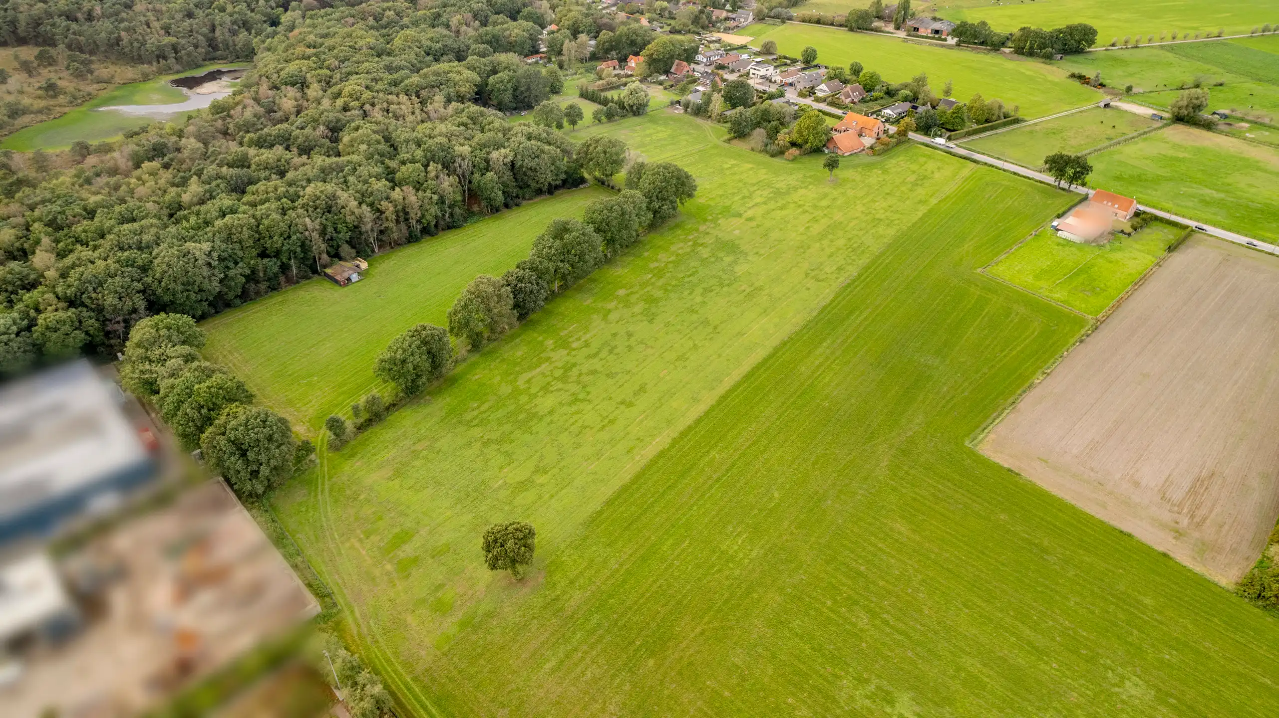 Karaktervolle boerderij met bijgebouw en schuur, met flexibele aankoopmogelijkheden tot ca. 3,57 ha foto 3