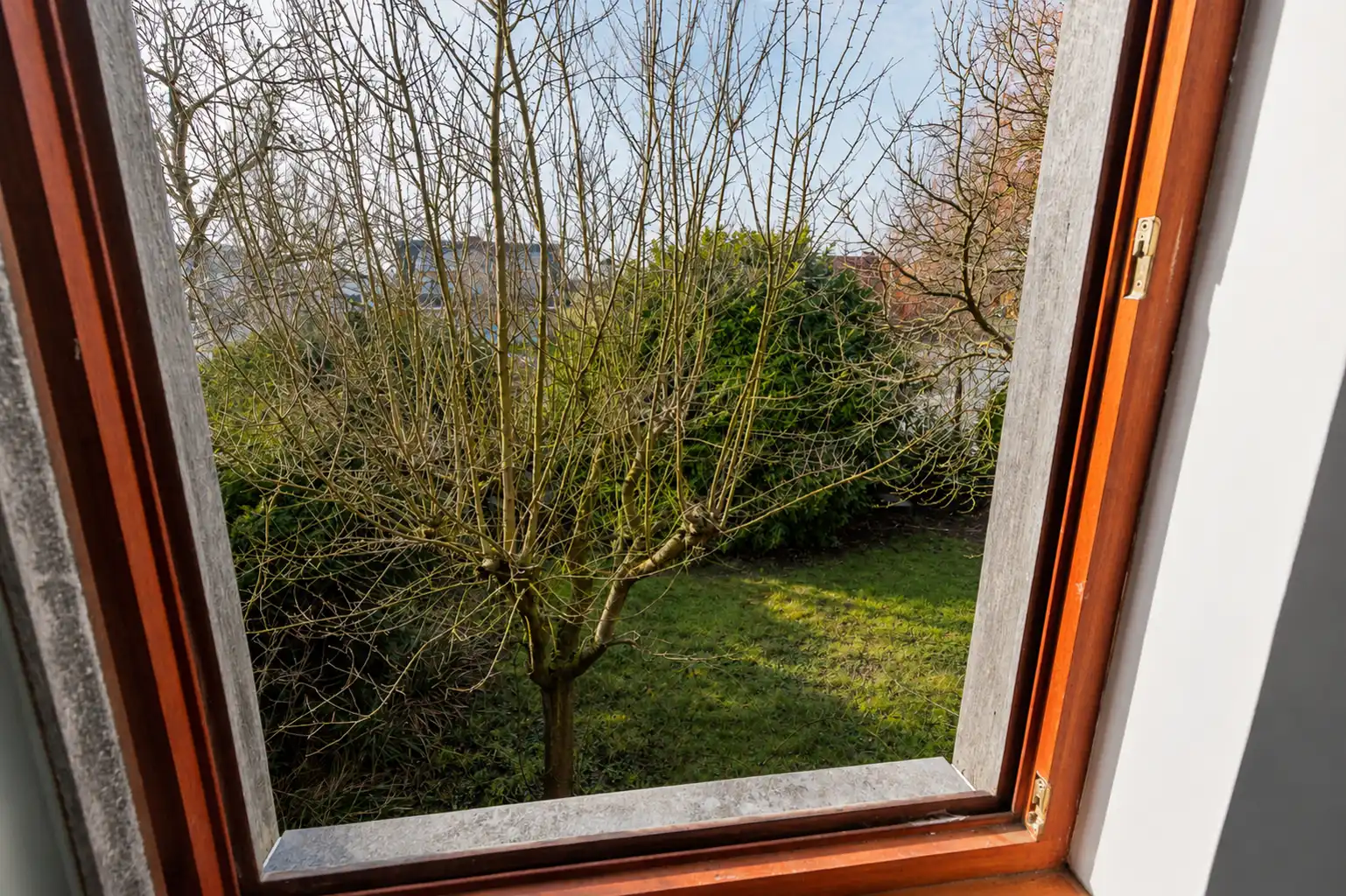 Handelspand te koop in Opwijk  foto 22