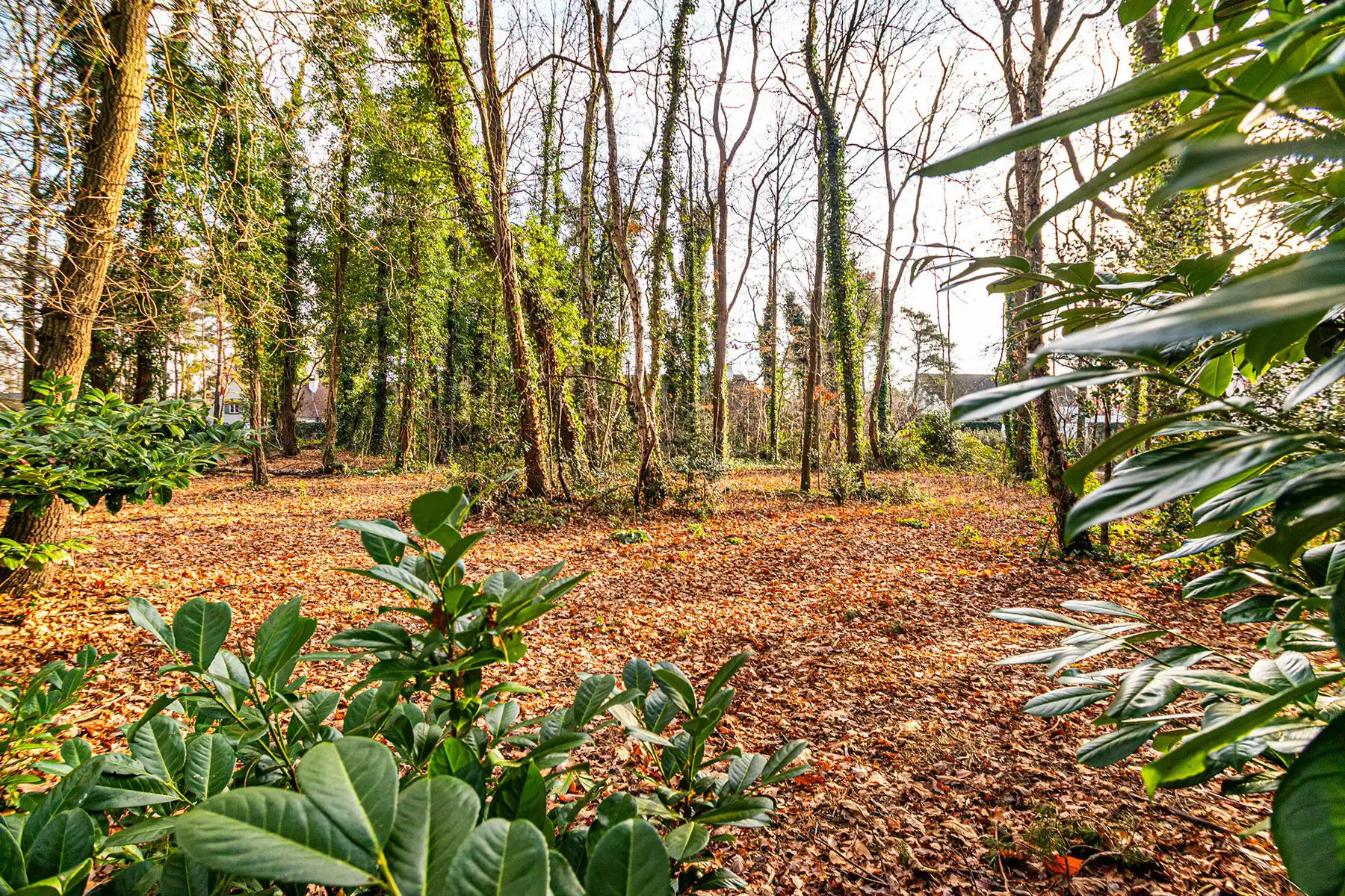 Exclusieve bouwgrond van 4.370 m² in “Golf & Meer”-domein foto 27