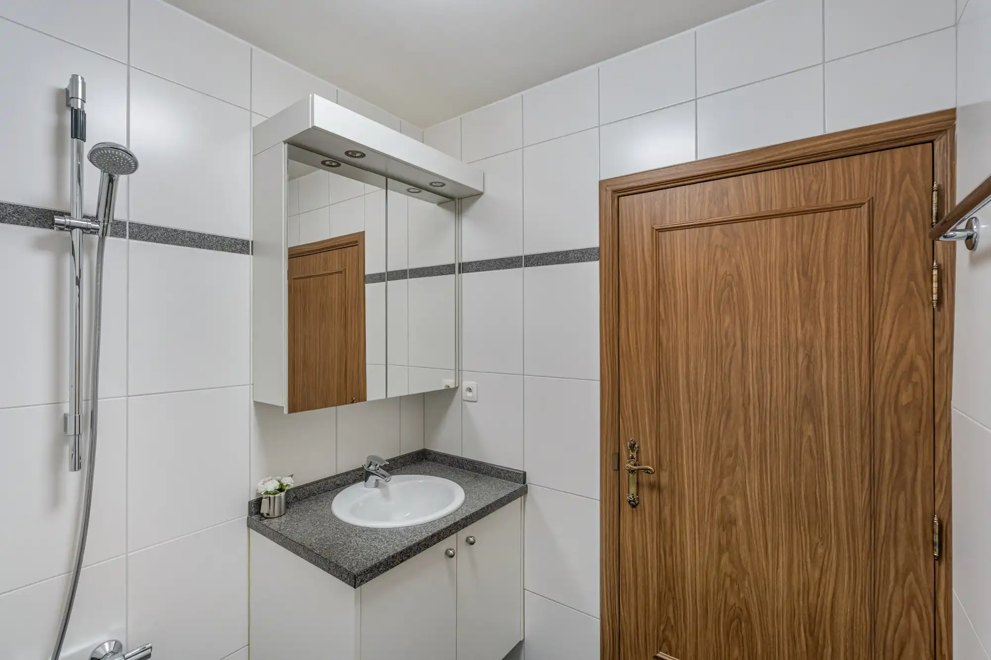 Huis te koop foto 17