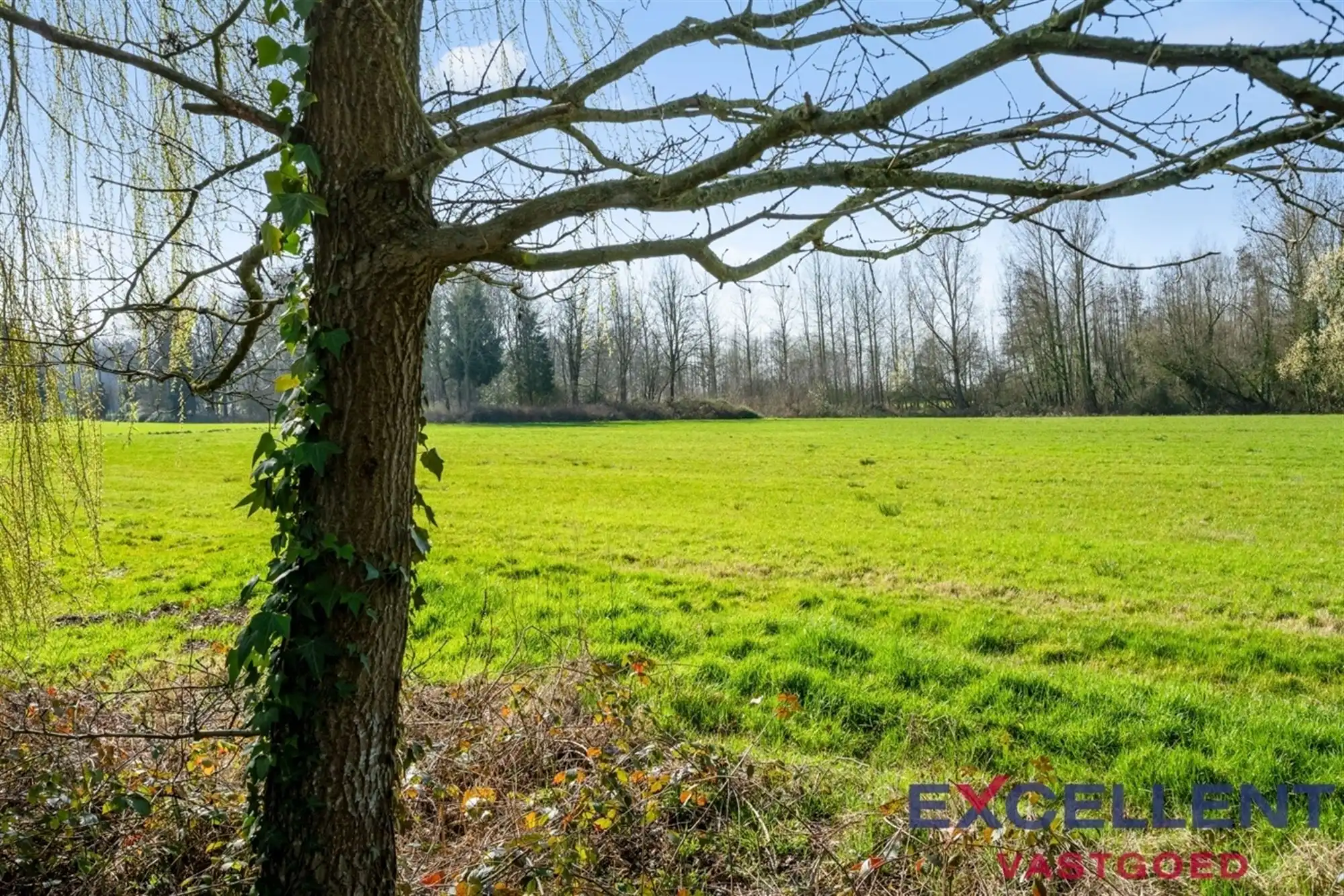 Woning in landelijke hoevestijl te Landskouter foto 32
