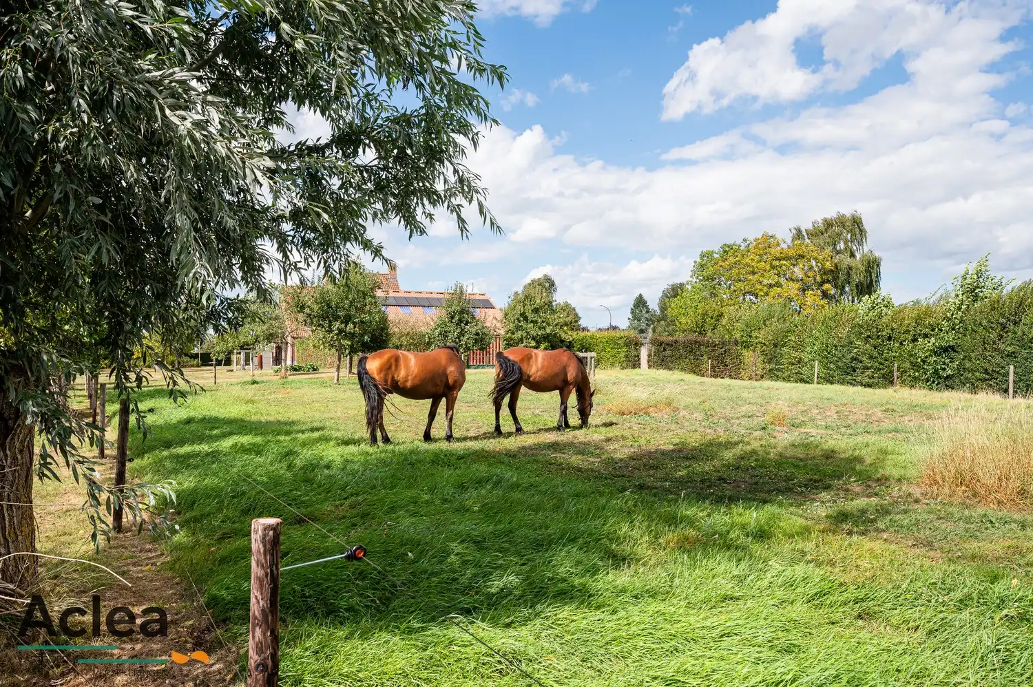 Karaktervol landhuis met paardenstal op 5.943m² in een groene omgeving foto 39