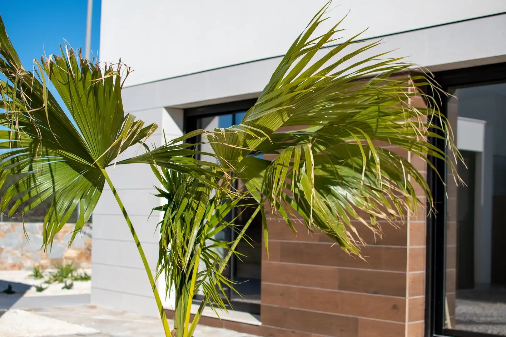 Villas Los Montesinos - La Herrada foto 5