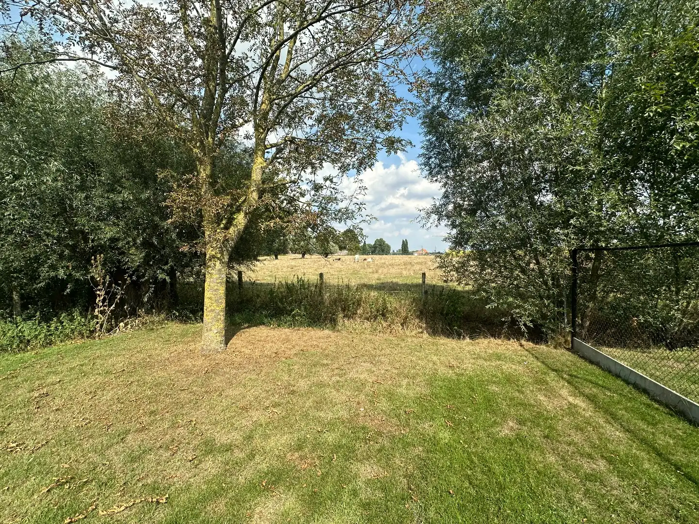 Prachtige energiezuinige nieuwbouwwoning, 3 slpk, bureel, mooie tuin met verzicht, Torhout foto 6