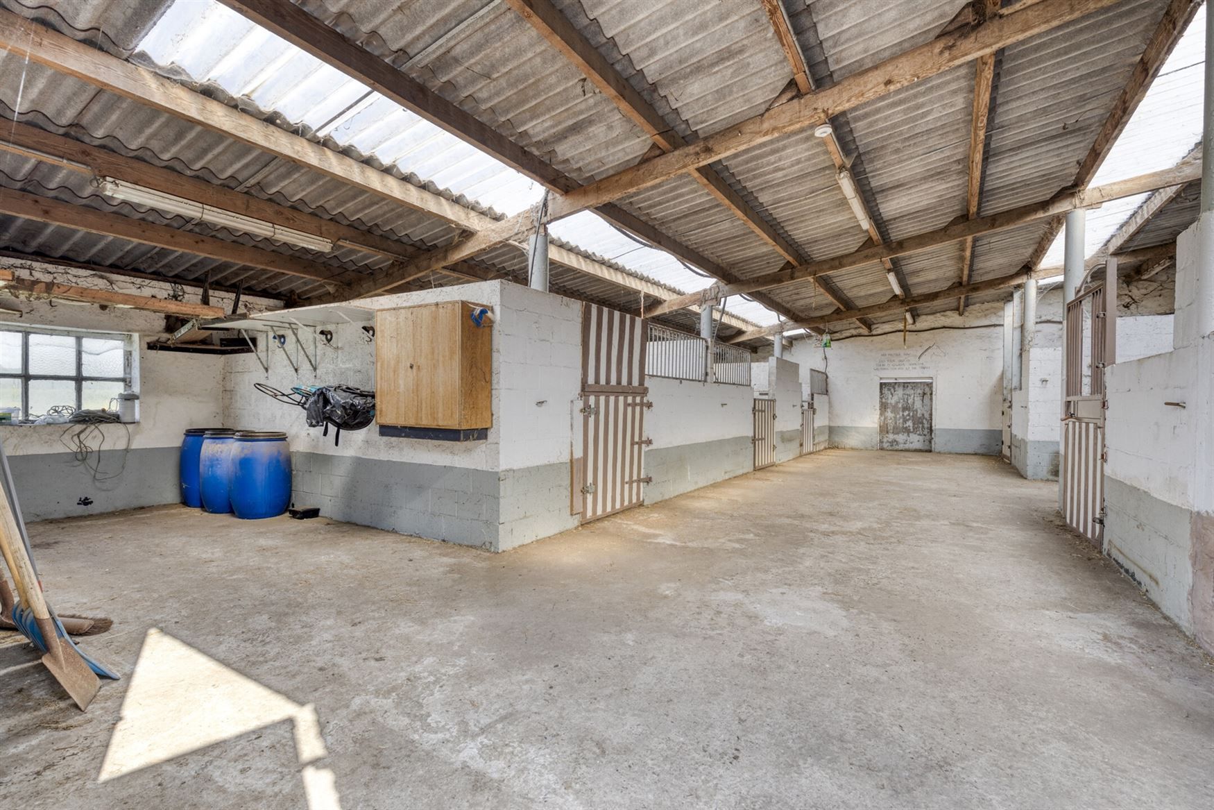 Ruime hoeve met stallingen foto 24