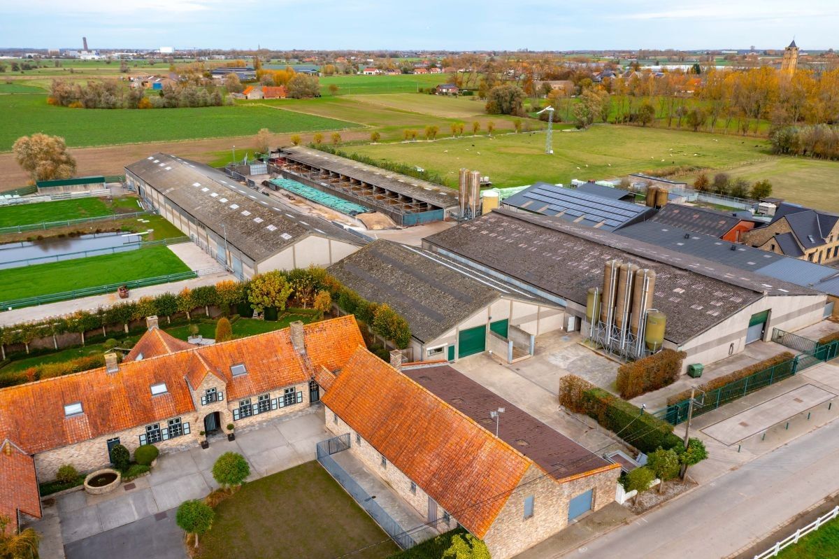 Groot vleesveebedrijf te koop te Diksmuide foto 10