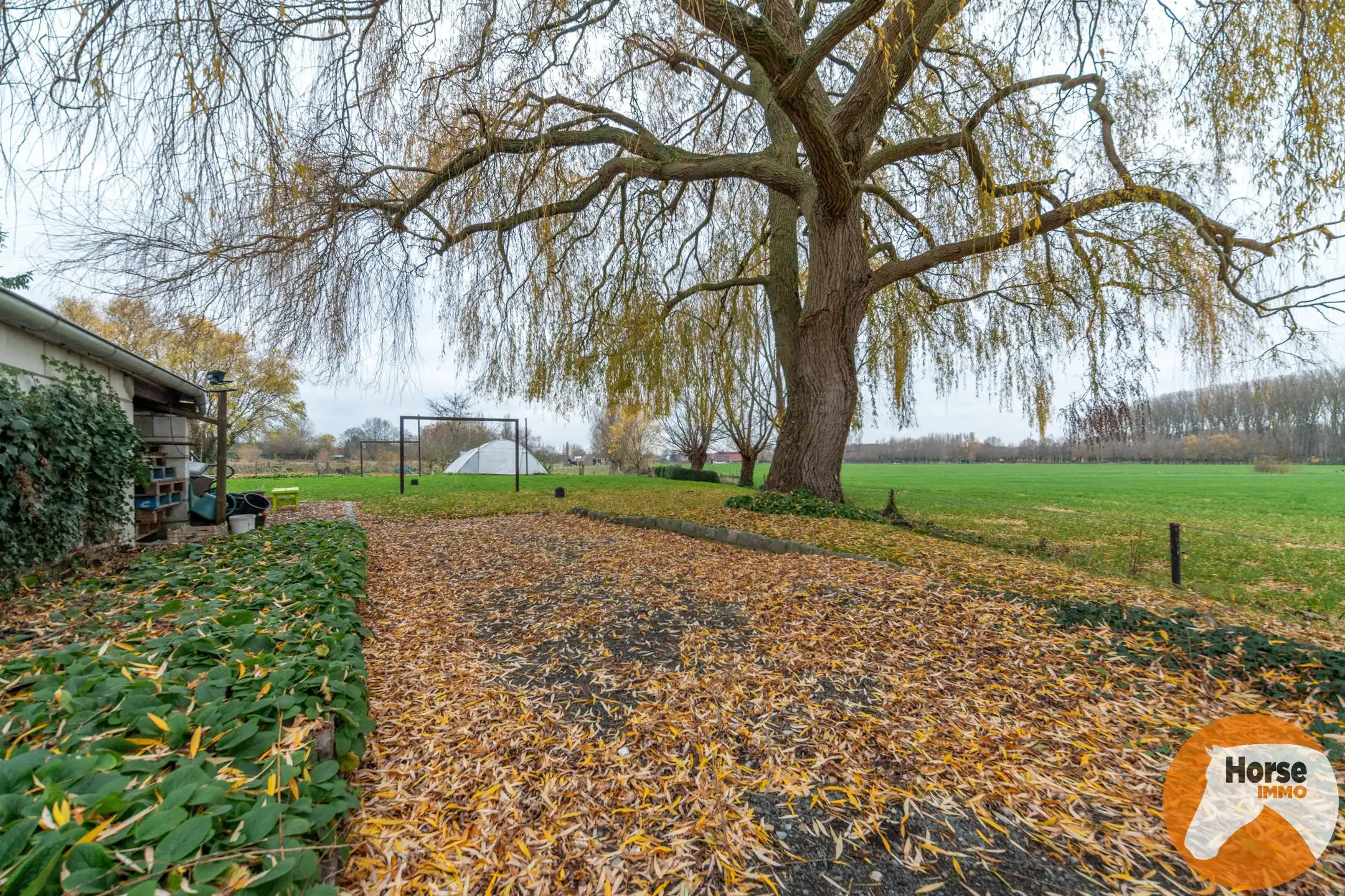 SCHELLE - Centraal gelegen ruime woning met loods  foto 32