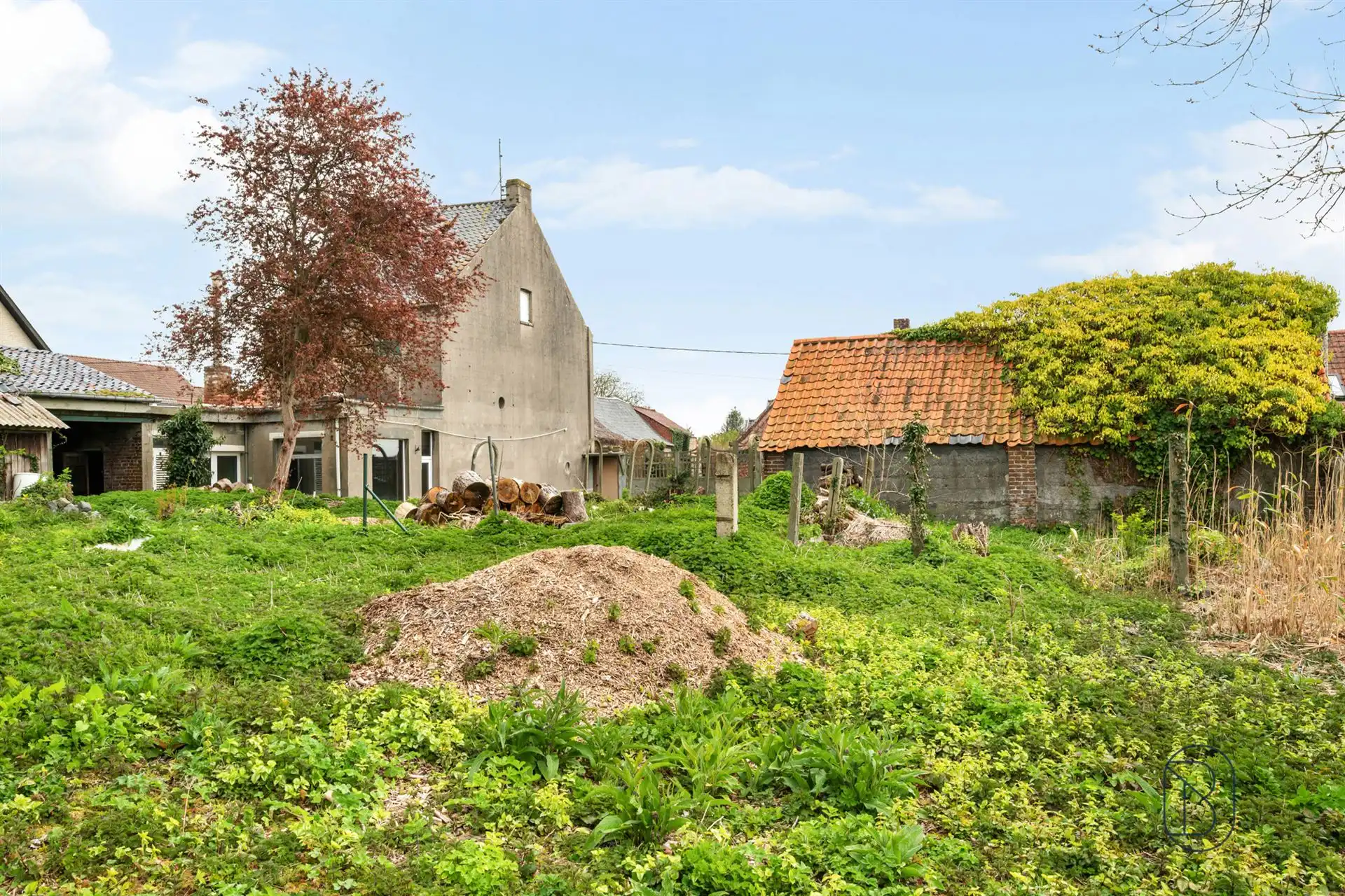 Totaal te renoveren woning met bijgebouwen op 1570m2 foto 8