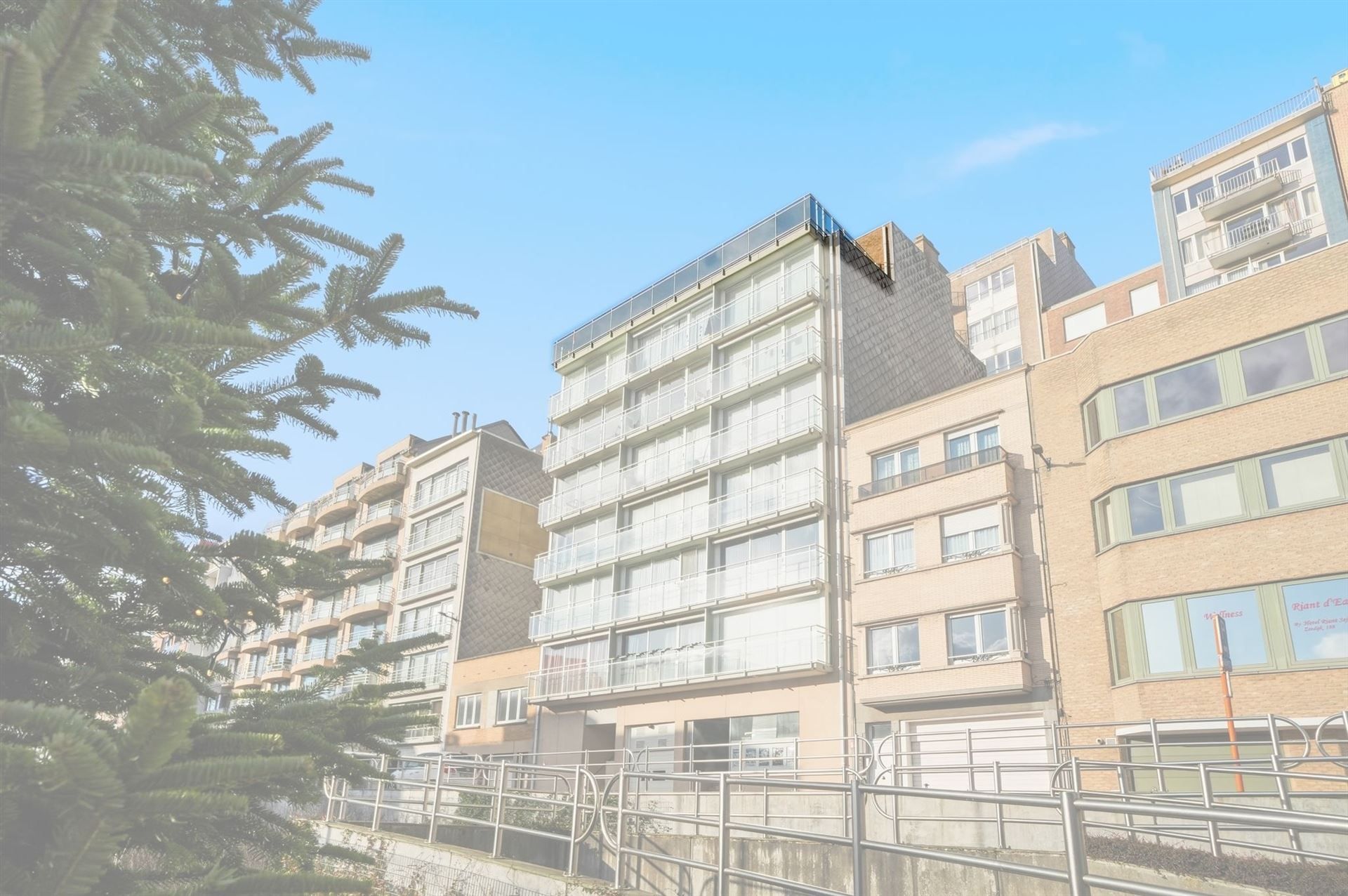 GROTE TERRASSEN / ZONNIG  foto 31