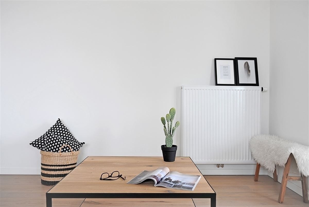 Mooi 1slaapkamer appartement met groot terras en zicht op de Schelde foto 8