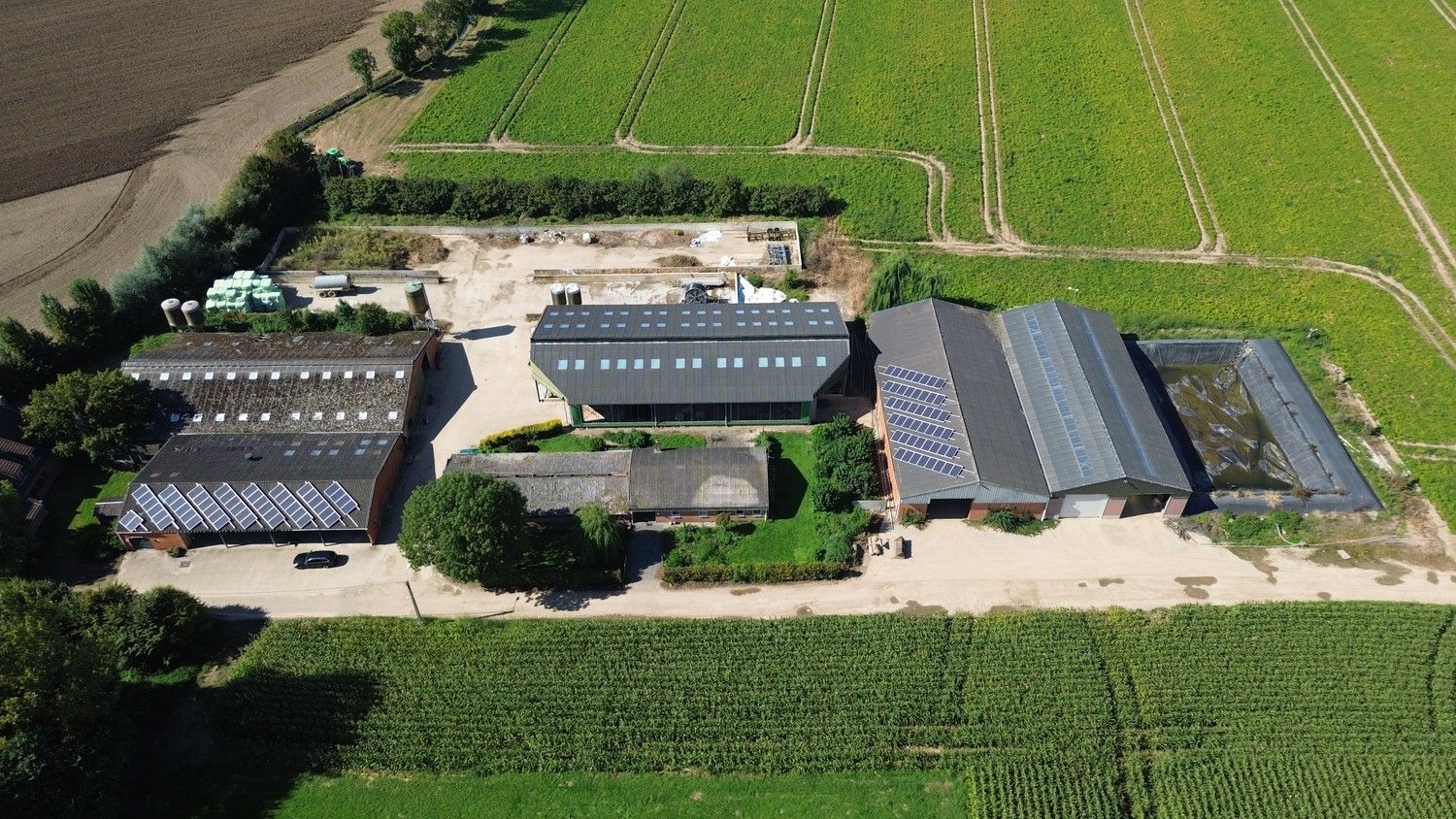 Prachtige boerderij op 1,4 hectare grond in Rekem/Lanaken foto 2