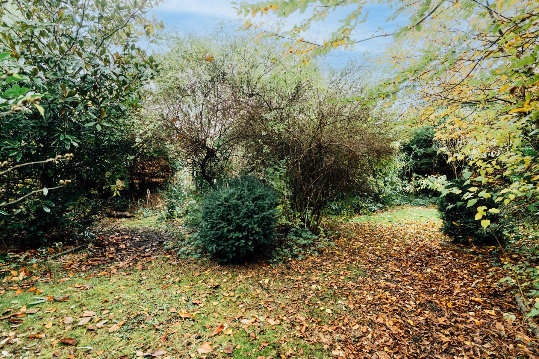 Ruime woning op prachtperceel van 28a91ca in hartje Ramsel foto 24