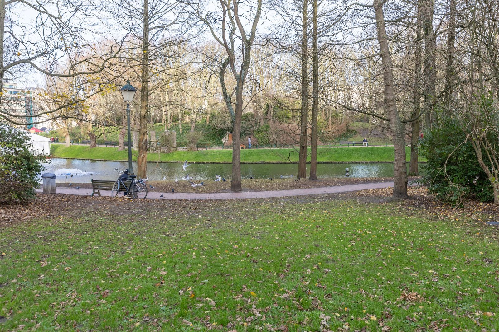 Charmant hoekappartement met 1 slpk en zicht op het Leopoldpark foto 13