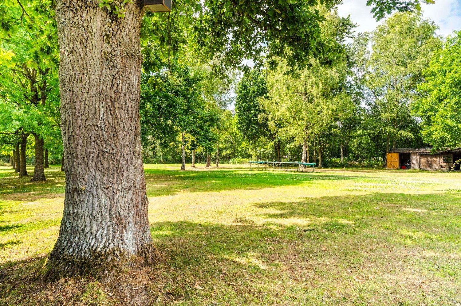 Exclusieve villa in Ruisbroek (Puurs) foto 26