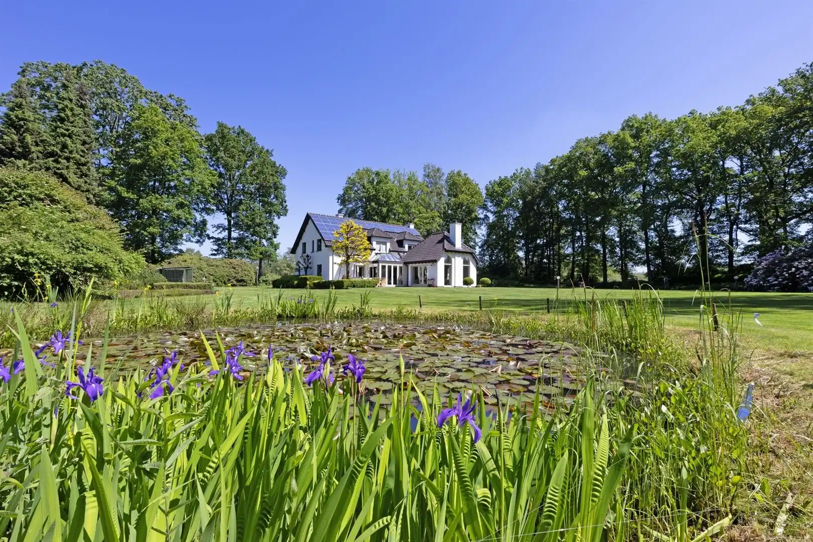 Charmante woning met weilanden op perceel van 2ha 48a 40ca foto 3