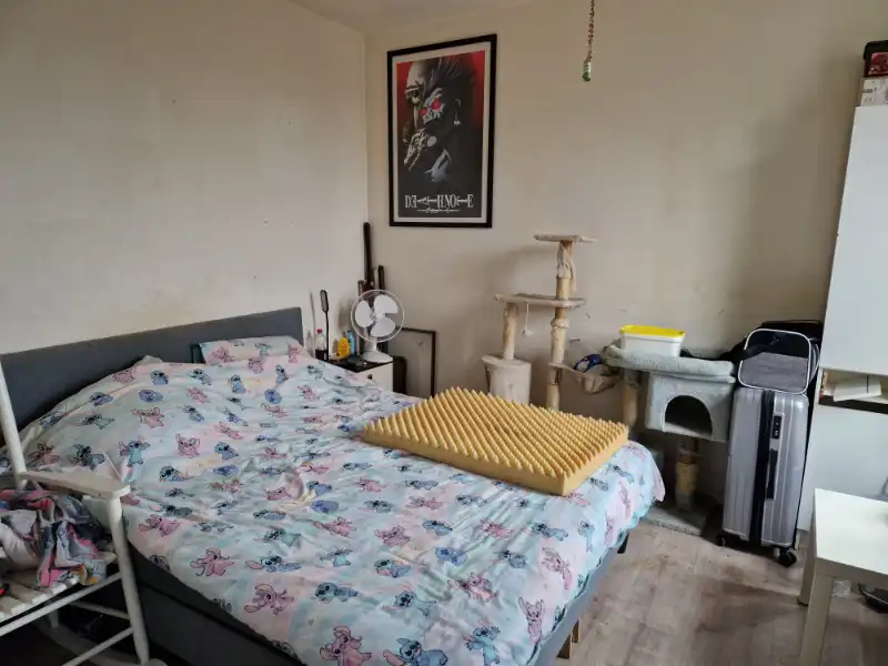Gezellig huisje met 2 slaapkamers in  het centrum van Gereaardsbergen foto 6