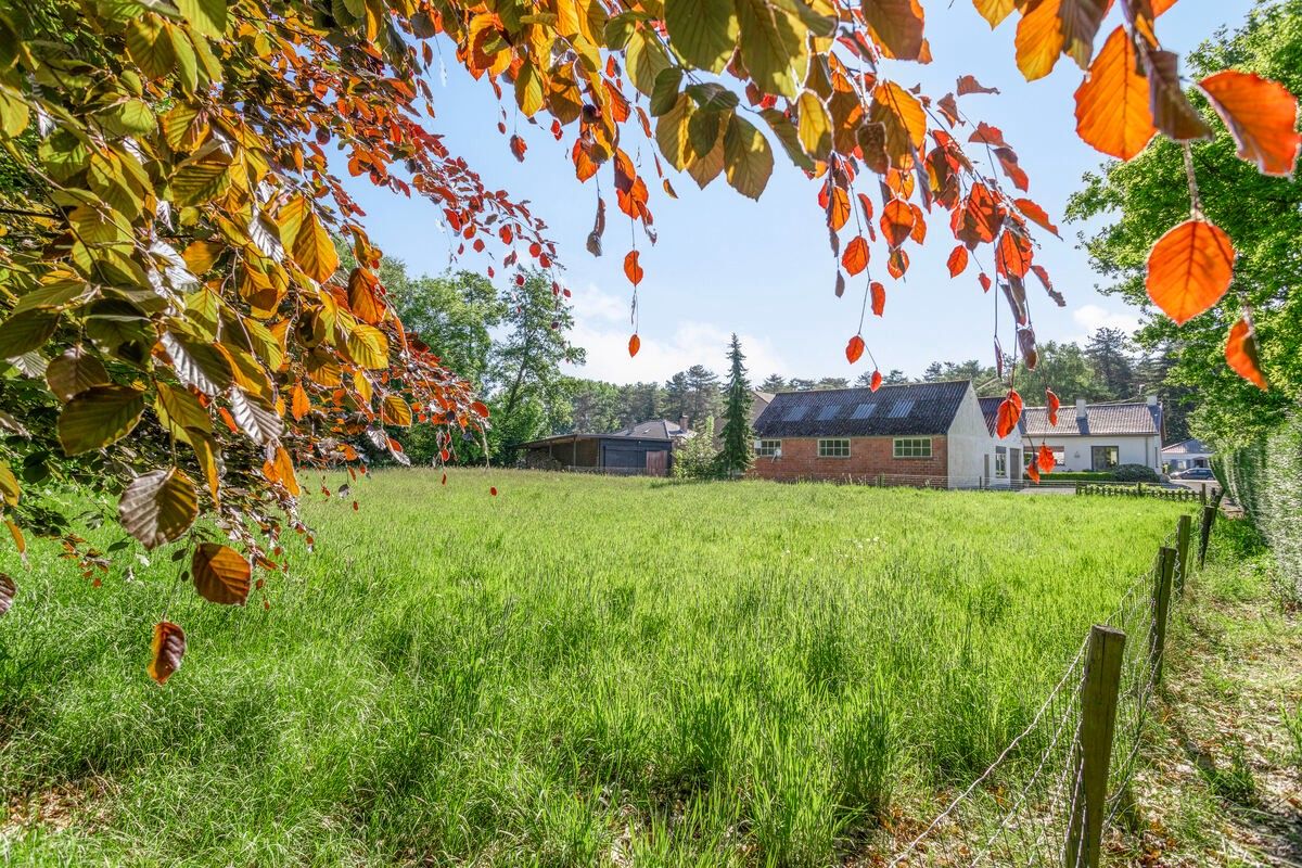 Vergunde Loods en Kantoorruimte met instapklare woning foto 20