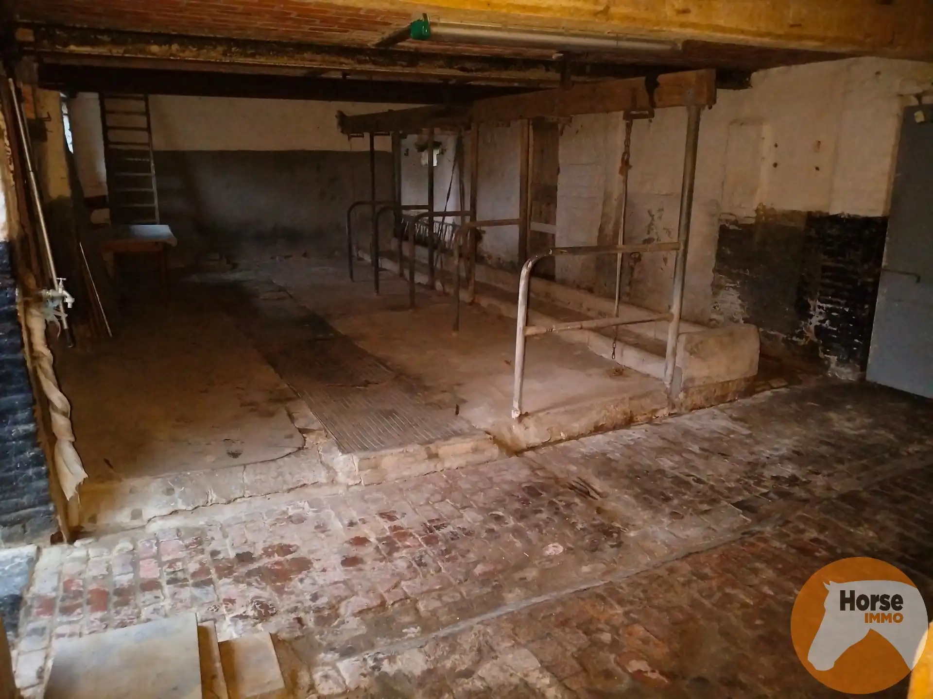 DEINZE - Landbouwwoning op +/-1,2HA foto 25