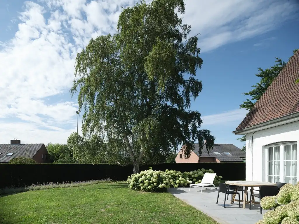 Bijzonder ruime (385 m²) en instapklare villa rustig gelegen in Astene foto 12