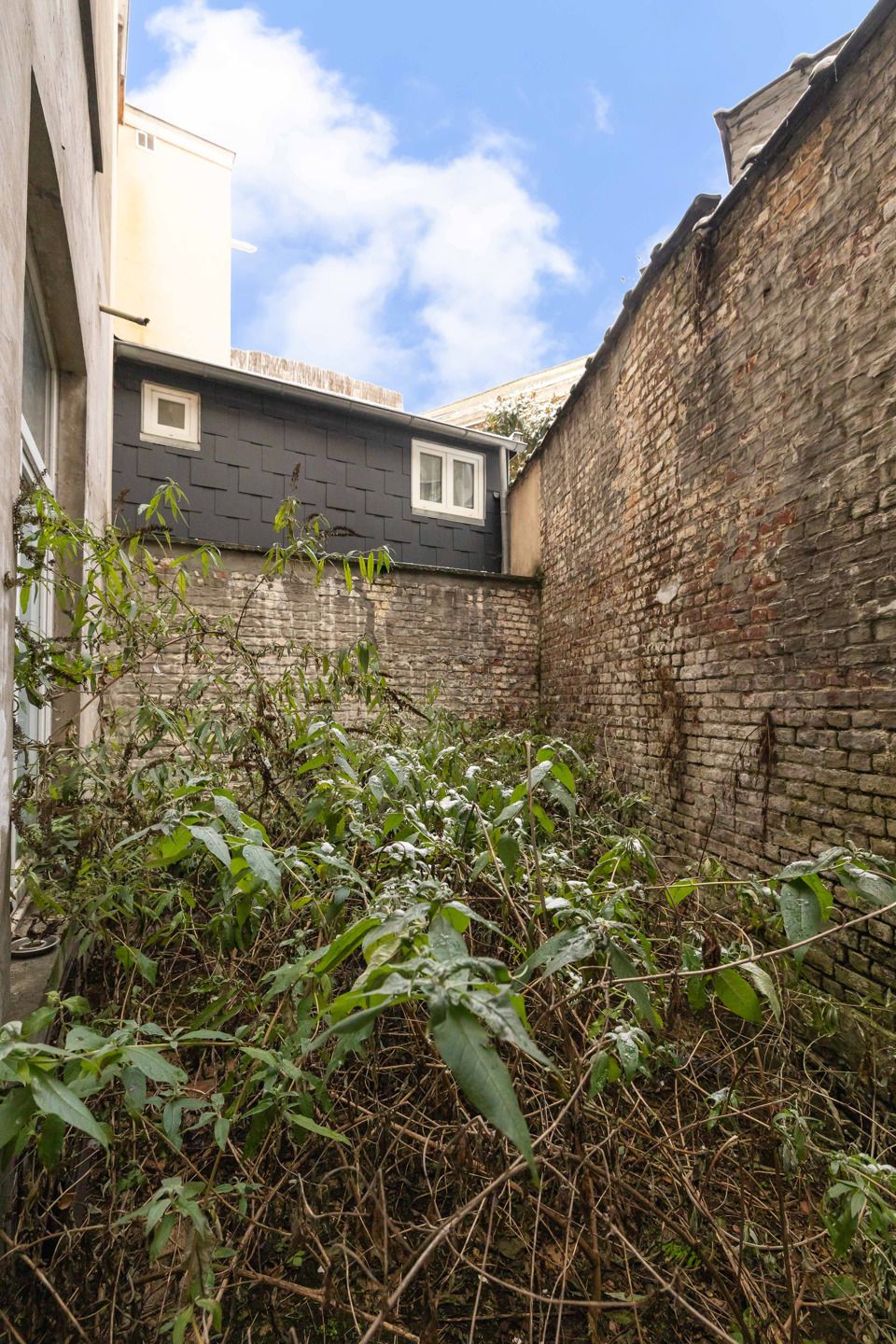 Ruwe duplexstudio om te transformeren, stadstuin foto 12